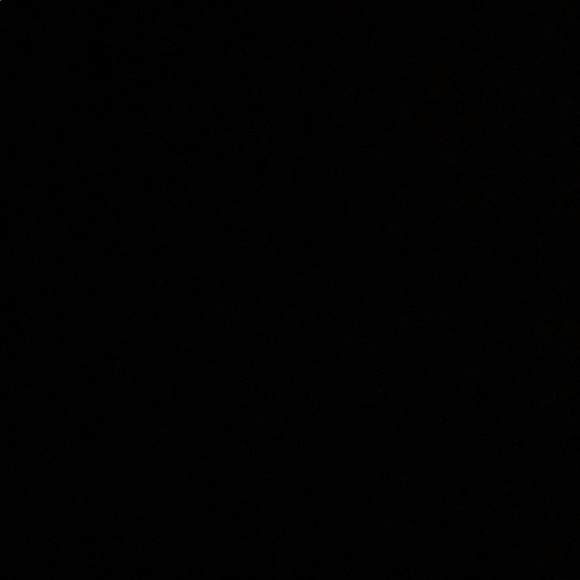 Meet your Posher, Gemma - Picture 1 of 1